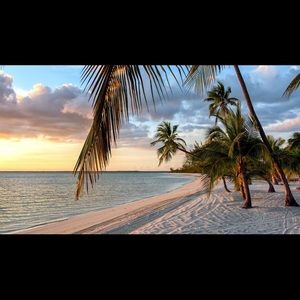 Meet your Posher, Ella